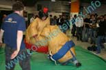 jeux de sumo